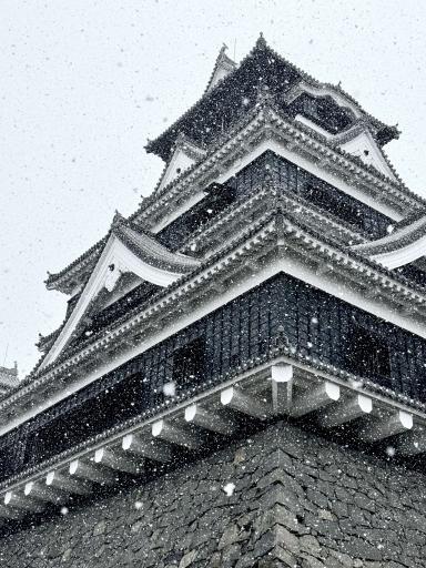 301雪の天守閣