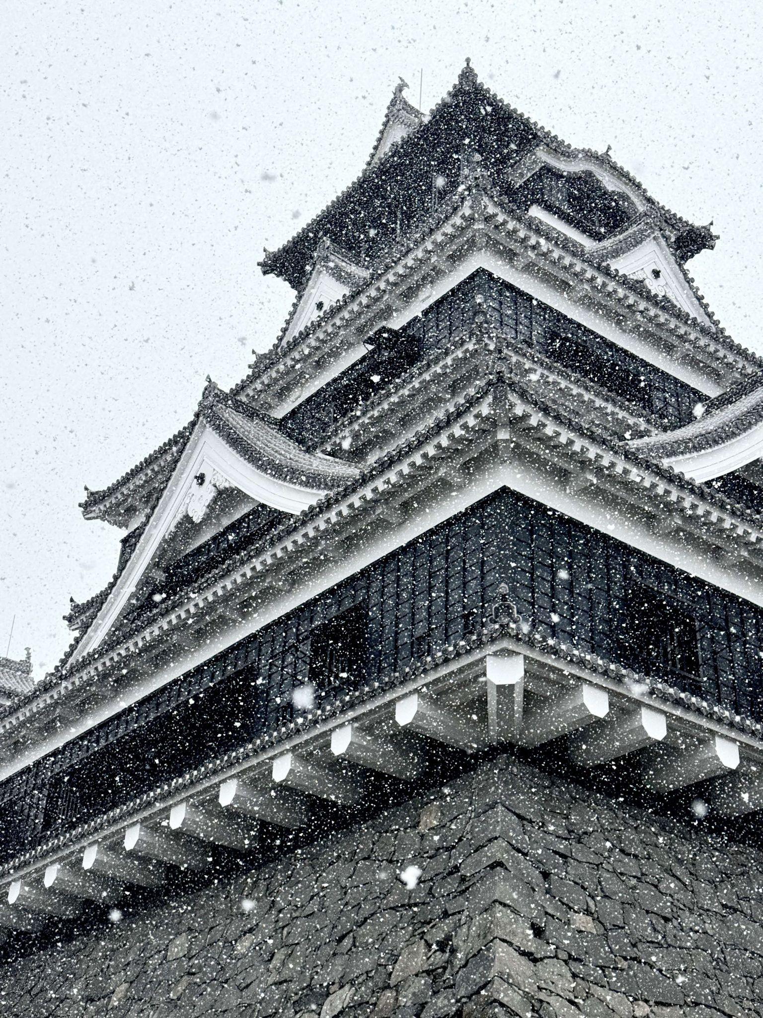 301雪の天守閣