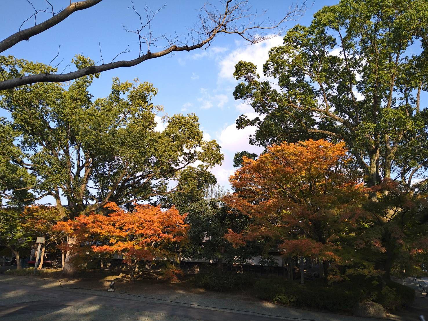 旧細川刑部邸