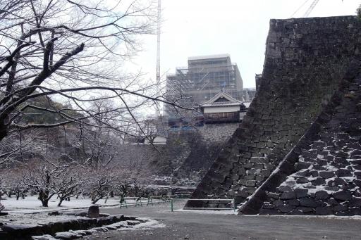 二様の石垣(地震後)